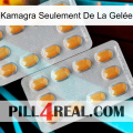 Kamagra Seulement De La Gelée cialis4